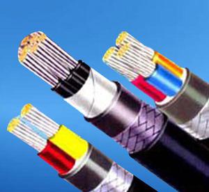 天津羞羞网站视频电缆电力电缆VV VLV